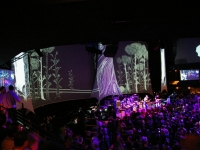 110314_SXSW_MSFT_IE9_Party_The_Fences_53