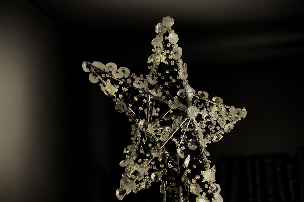 101211_ava_trimming_tree